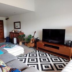 Cairnhill Astoria (D9), Apartment #484679811
